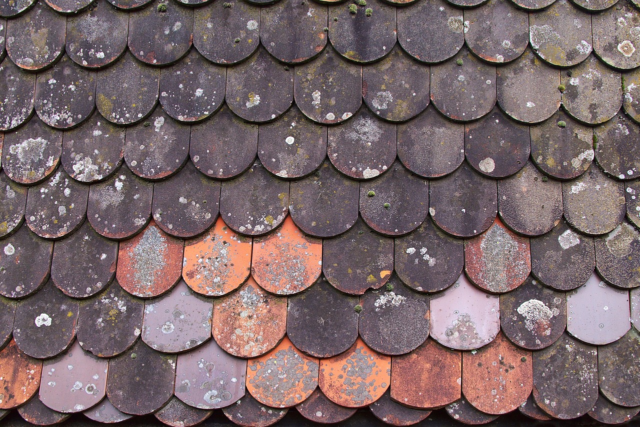 Professional roof repair demonstrating quality workmanship standards